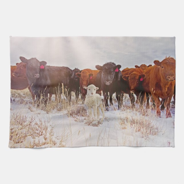 Behold! Cattle Kitchen Towel (Horizontal)