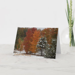Behold the Beauty of the Season Christmas Card