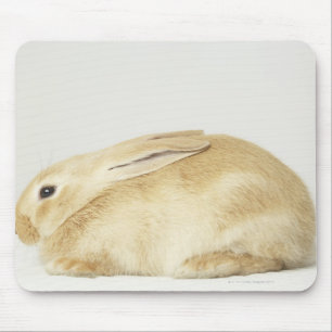 Beige bunny rabbit on white background 4 mouse mat