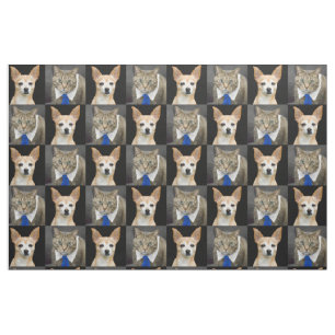 Beige Chihuahua and grey tabby cat with blue tie Fabric