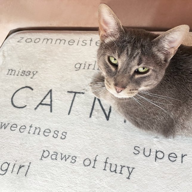 Beige Flat Soft Cat Bed Mat Pet Name + Nickname (Creator Uploaded)