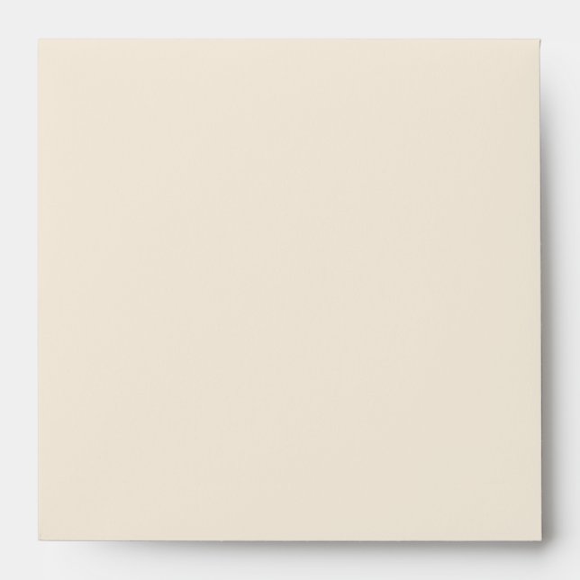 Beige Gold Linen Envelopes (Front)