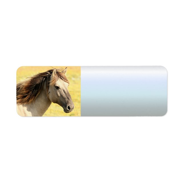 Beige Horse Profile (Front)
