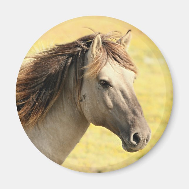 Beige Horse Profile Magnet (Front)