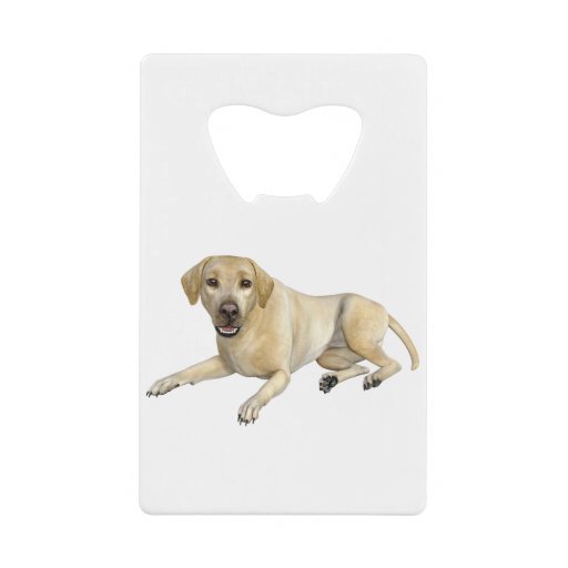 Image of Beige Labrador Dog Lying Down