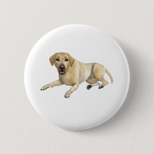 Image of Beige Labrador Dog Lying Down 6 Cm Round Badge