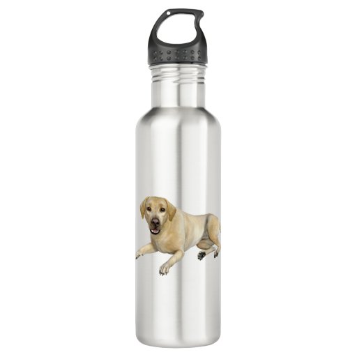 Image of Beige Labrador Dog Lying Down 710 Ml Water Bottle