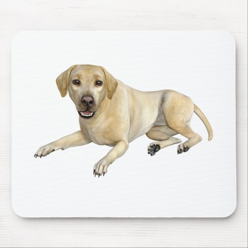 Image of Beige Labrador Dog Lying Down Mouse Mat