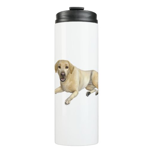 Image of Beige Labrador Dog Lying Down Thermal Tumbler