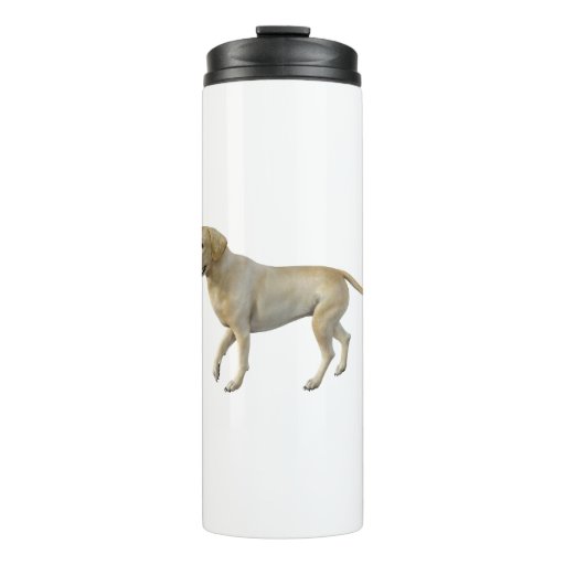 Image of Beige Labrador Dog Standing In Side Profile Thermal Tumbler