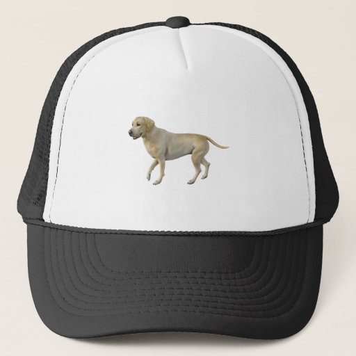 Image of Beige Labrador Dog Standing In Side Profile Trucker Hat