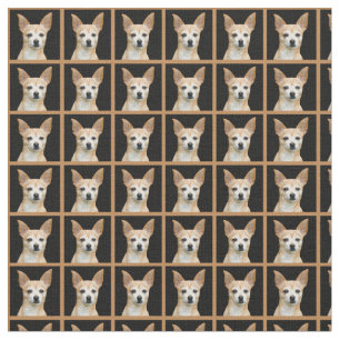 Beige painted chihuahua on black background fabric