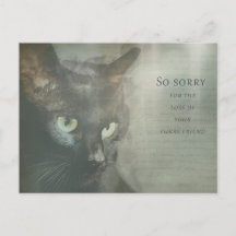 Beileidskarte Katze - Schwarz - Sympathy Card