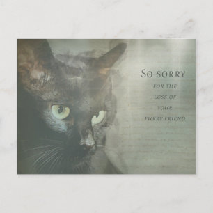 Beileidskarte Katze - Schwarz - Sympathy Card