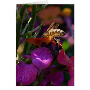 Be'ing a Busy Bee!