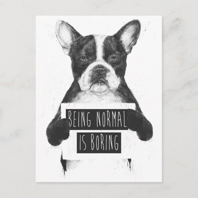 Being normal is boring postcard (Front)