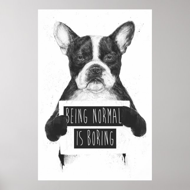 Being normal is boring poster (Front)