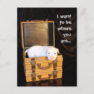 Being With You... Postcard