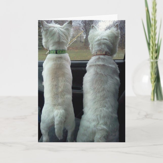 BEING YOUR TWIN IS FUN=BIRTHDAY CARD (Front)