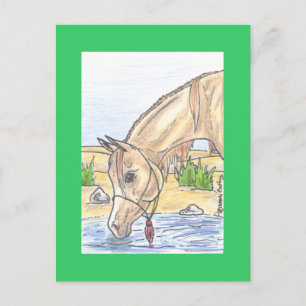 "Bejh bint Ahwa" Postcard