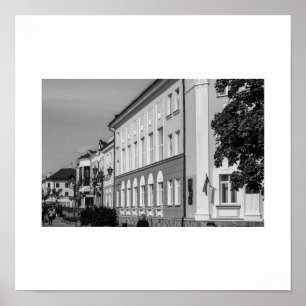 Belarus Беларусь Brest Брэст Architecture Poster