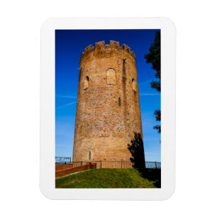 Belarus Беларусь Tower of Kamyenets Belaya Vezha Magnet
