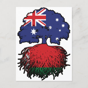 Belarus Belarusian Australian Australia Tree Roots Postcard