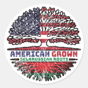 Belarus Belarusian US American USA United States Classic Round Sticker
