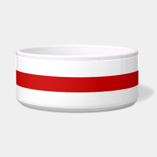 Belarus Flag (Red and White)