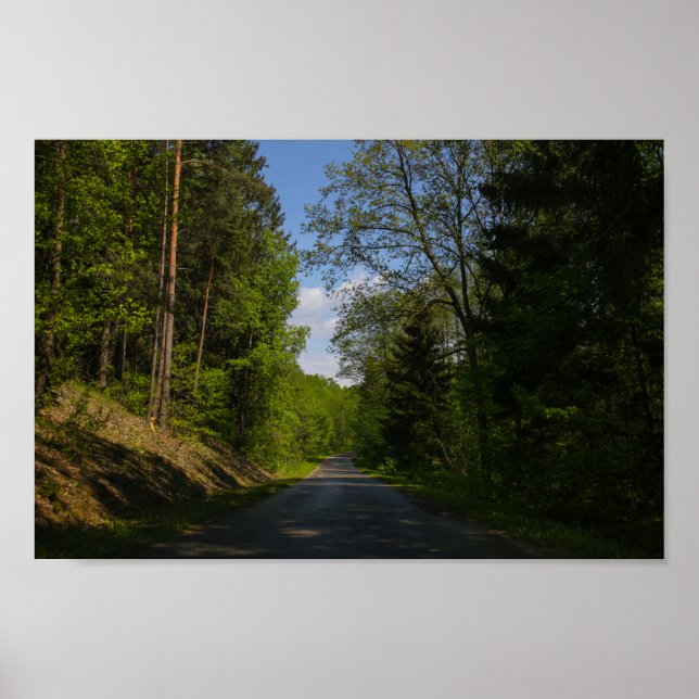 Belarus Forest Rural Road Sky Landscape Nature Poster (Front)
