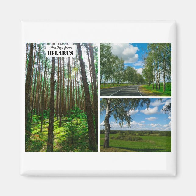 Belarus Greetings Nature Forest Scenery Magnet (Front)