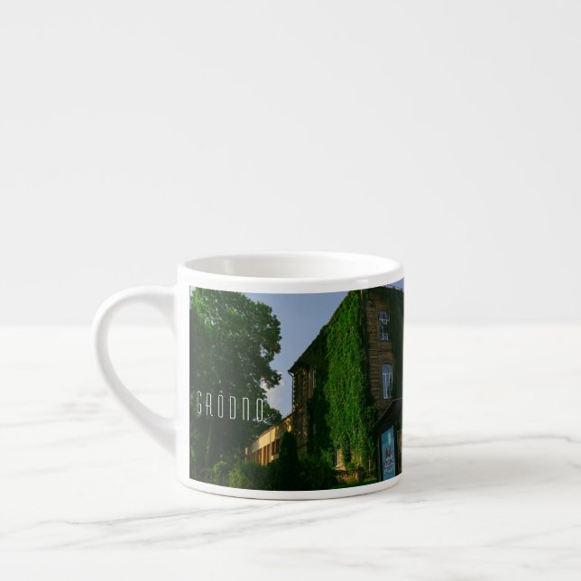 Belarus Grodno Cityscape Architecture University Espresso Cup (Left)