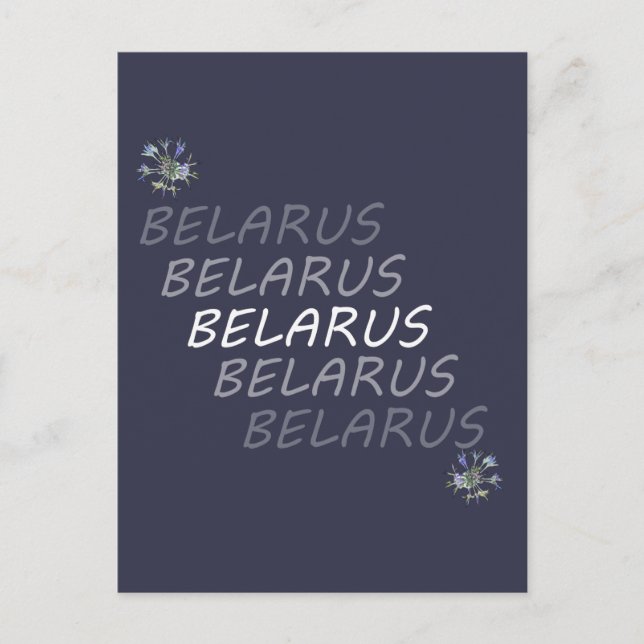 Belarus National Corn Flower Postcard (Front)
