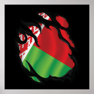 Belarus Ripped Flag Poster