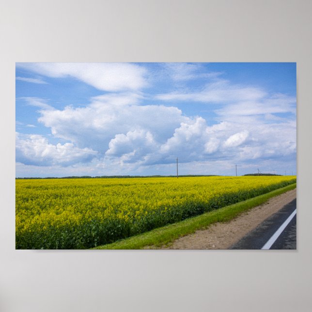 Belarus Road Canola Fields Flowers Sky Poster (Front)