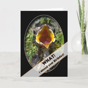 BELATED BIRTHDAY - BABY BIRD SURPRISED CARD