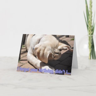 Belated Birthday Card