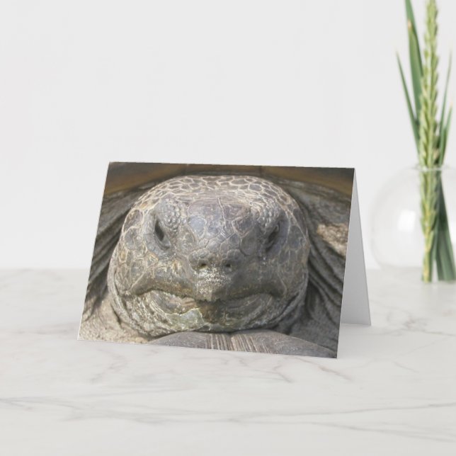 Belated Birthday Card (Front)