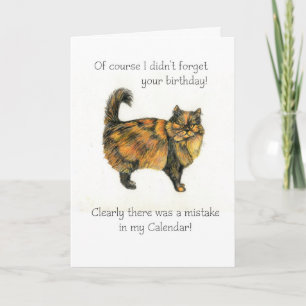Belated Birthday Card - Brown Tabby Cat