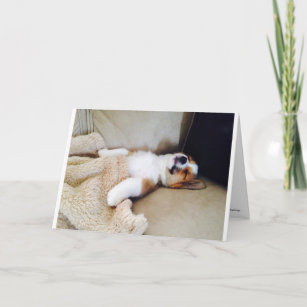 Belated Birthday Card - Sleeping Corgi Puppy
