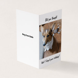 Belated Birthday Card with Corgi Dog