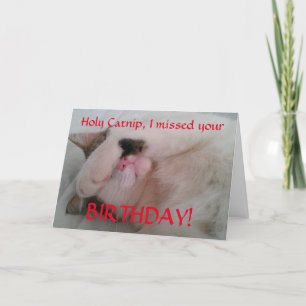 Belated Birthday Cat Humour Card