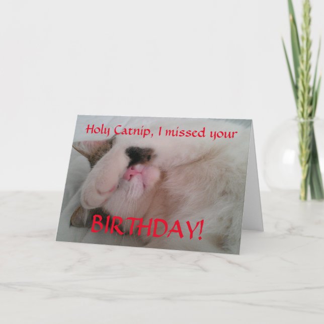 Belated Birthday Cat Humour Card (Front)