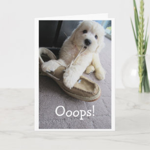 Belated Birthday, Cute Goldendoodle pup Humour Card