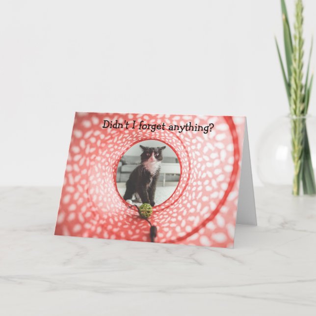 Belated Birthday? Funny Card with Cat (Front)