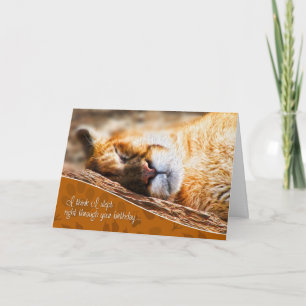 Belated Birthday Funny Cougar Painting Card