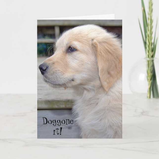 Belated Birthday-golden retriever puppy Card (Front)