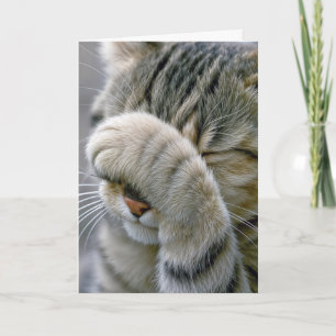 Belated Birthday Gray Tabby Cat Card