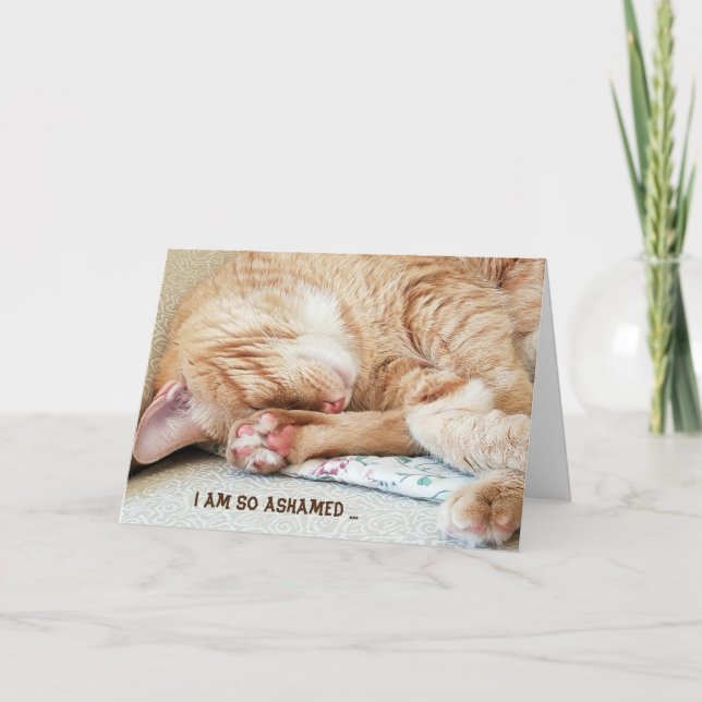 belated birthday-tabby cat card (Front)