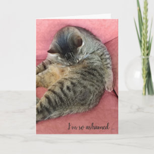 belated birthday-tabby cat on rose coloured chair card
